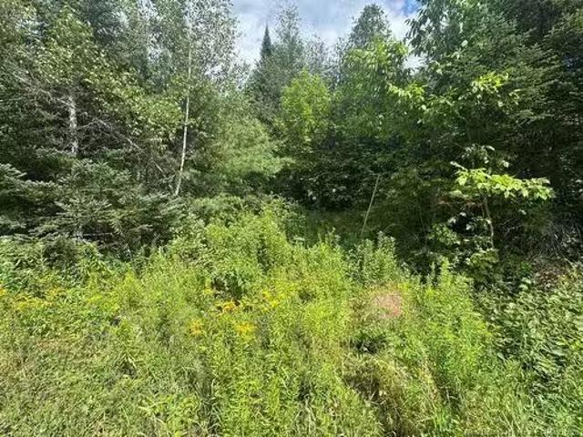 House for sale in Napadogan, New Brunswick