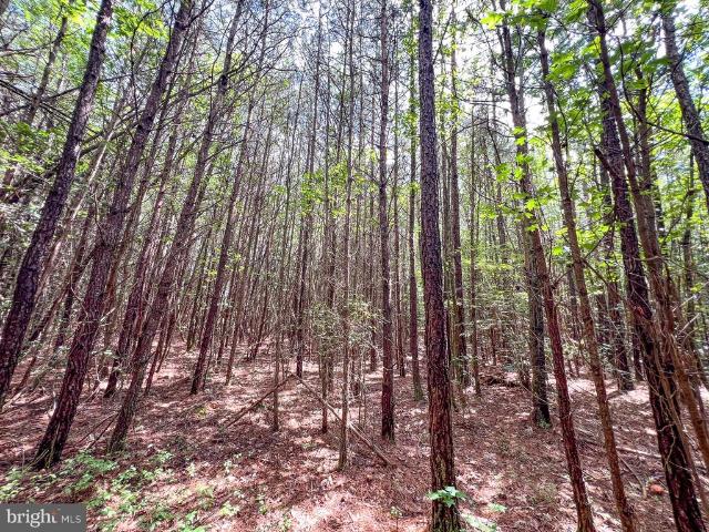 Land for sale in Virginia