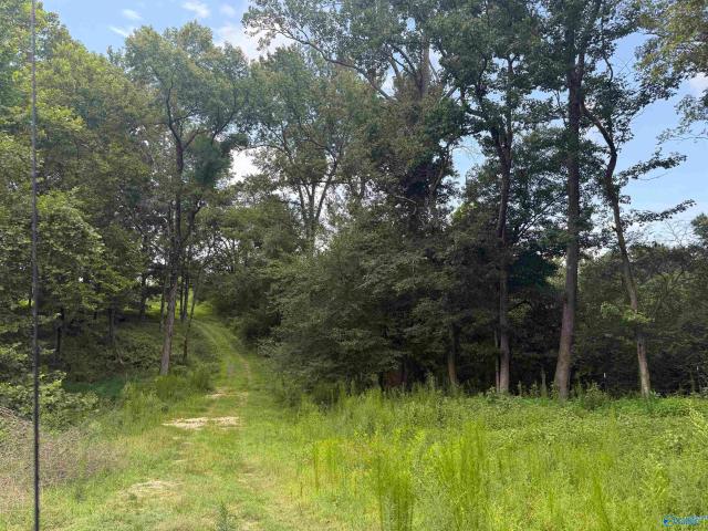 Land for sale in Albertville Land for sale in Albertville