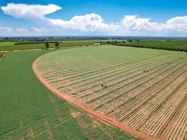 Farm for sale in Frances Baard, Northern Cape