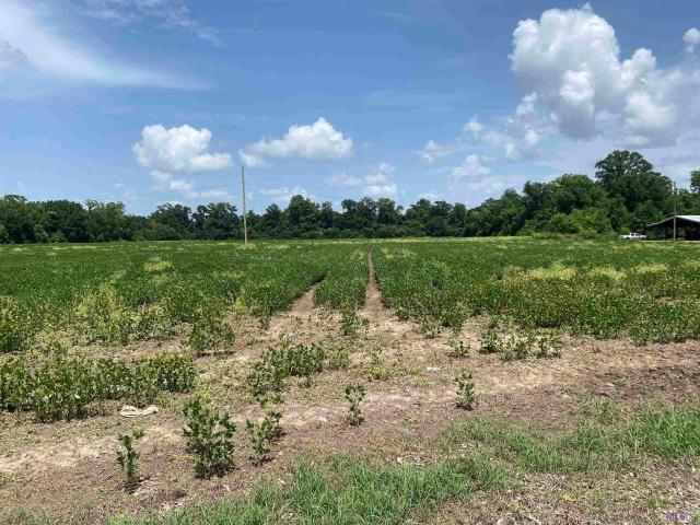 Land for sale in Maringouin, Louisiana
