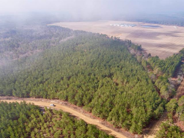 Land for sale in Bethune, South Carolina