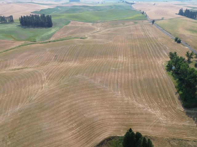Land for sale in Potlatch, Latah County