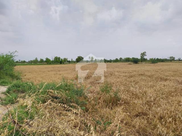 Land for sale in Faisalabad, Islamabad Capital Territory
