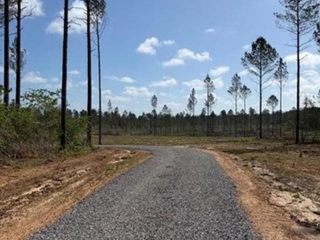Land for sale in Perkinston, Mississippi