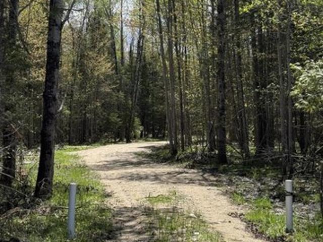 Land for sale in Newberry, Michigan