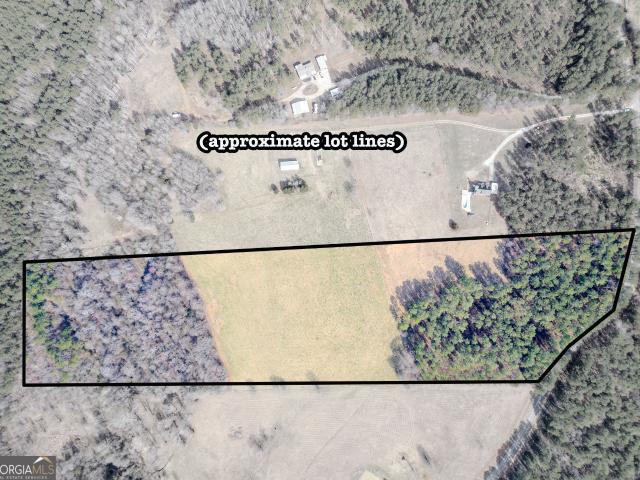 Land for sale in Carnesville, Georgia