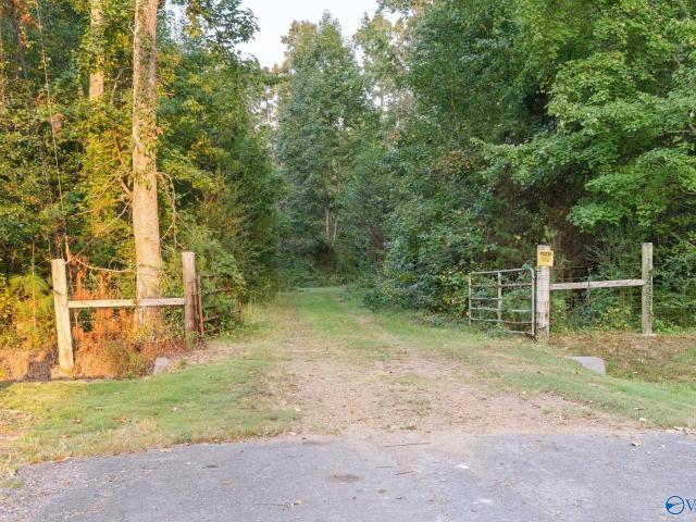 Land for sale in Hazel Green, Madison County