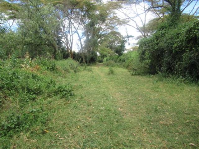 Land for sale in Naivasha, Nakuru