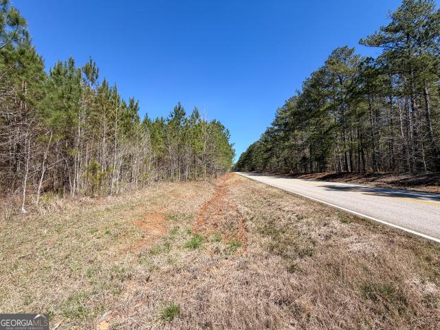 Land for sale in Franklin, Heard County