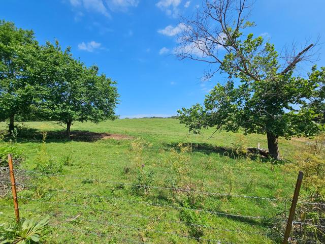 Land for sale in Anderson, Missouri