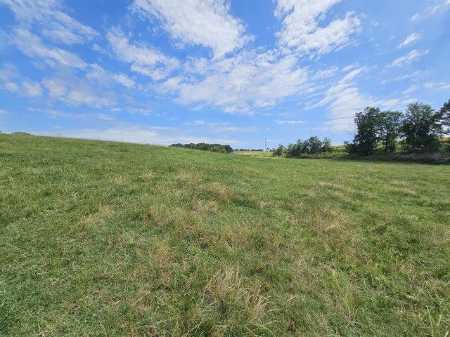 Land for sale in Anderson, Missouri