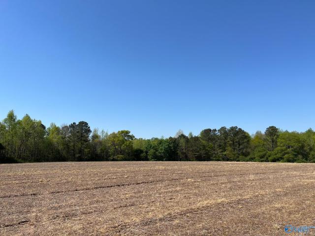 Land for sale in Albertville Land for sale in Albertville