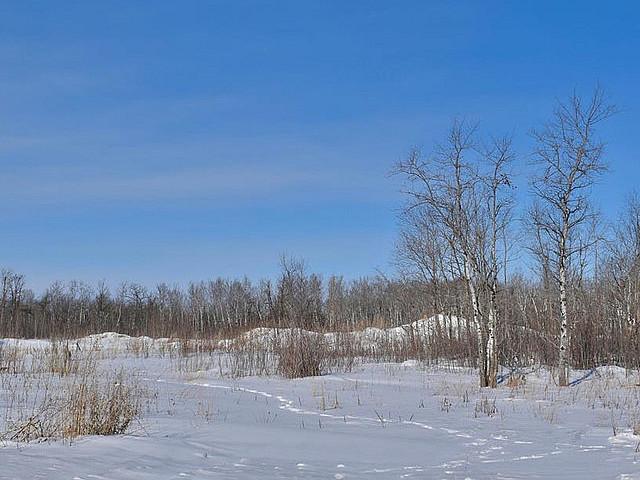 Land for sale in Manitoba