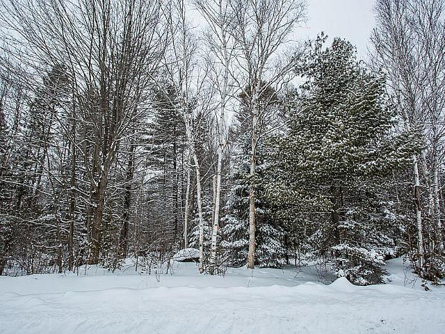 Land for sale in Goulais River, Ontario