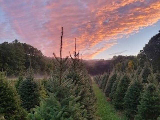 Land for sale in Millis, Massachusetts