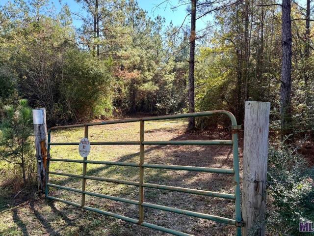 Land for sale in Saint Helena, Louisiana