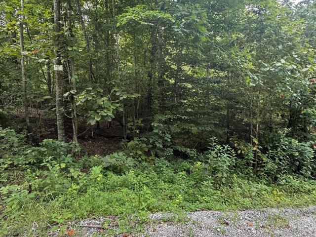 Land for sale in Somerset, Kentucky