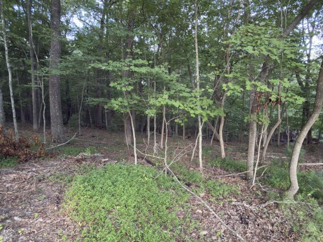 Land for sale in Tennessee