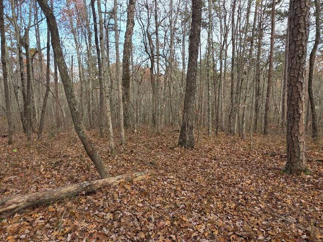 Land for sale in Monterey, Middle Tennessee