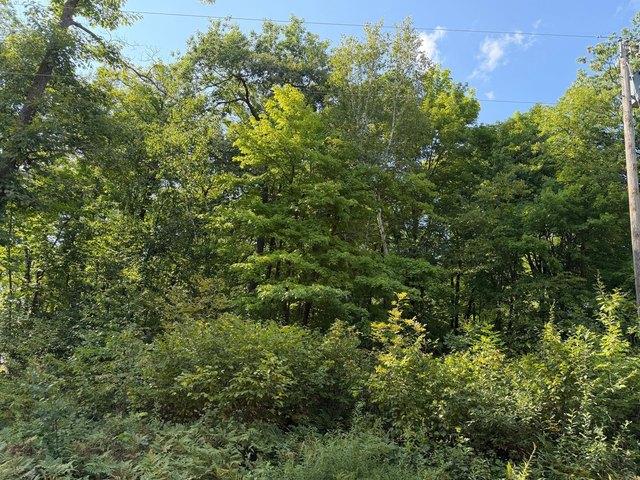 Land for sale in Aitkin, Minnesota