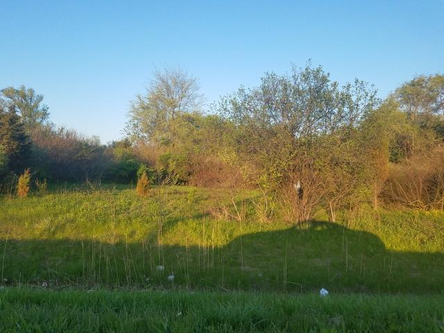 Land for sale in Russell, Illinois