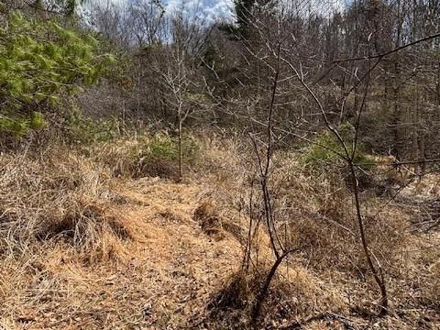 Land for sale in Mars Hill, North Carolina