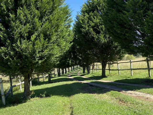 Property for sale in Umgungundlovu, Kwazulu-natal