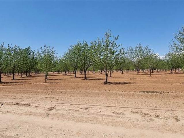 Property for sale in Douglas, Northern Cape