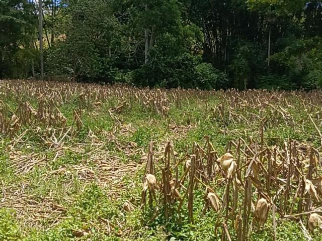 Farm for sale in Malaybalay