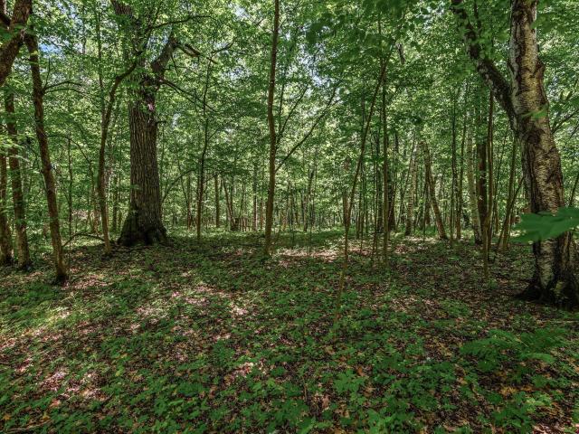 Land for sale in Chisago City, Minnesota
