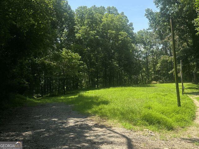 Land for sale in Dahlonega, Georgia