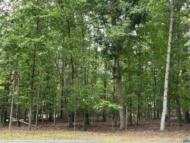Land for sale in Virginia