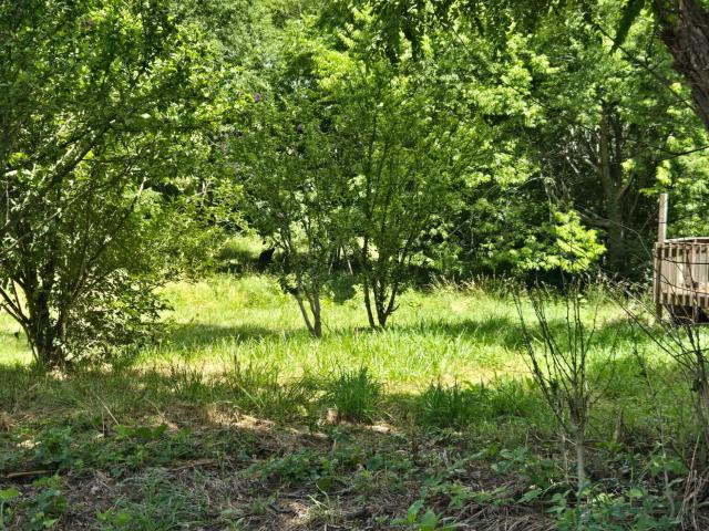 Land for sale in Kentucky