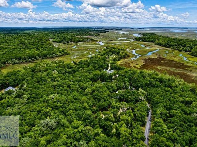 Land for sale in Darien, Georgia