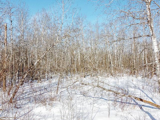 Land for sale in Steinbach, Manitoba