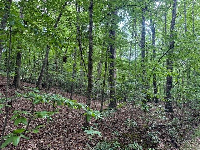 Land for sale in Hayesville, North Carolina