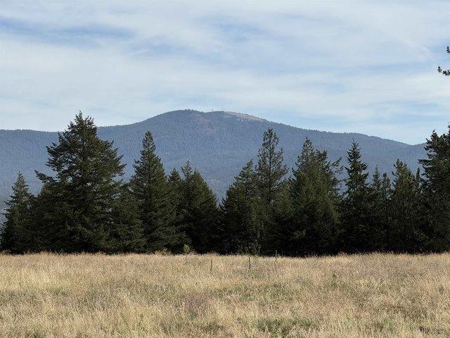 Land for sale in Chattaroy, Washington