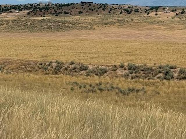 Land for sale in Levan, Utah