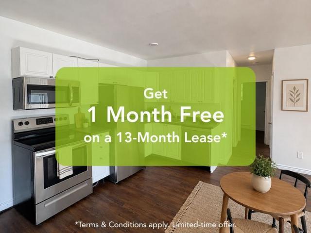 Apartment for rent in Malton, Mississauga