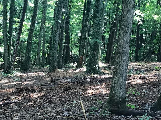Land for sale in Tennessee
