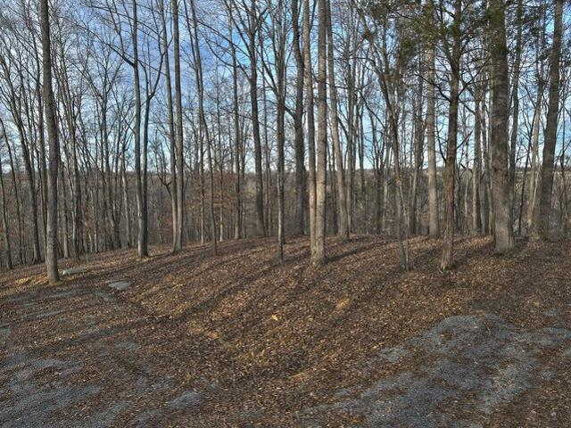 Land for sale in Russell Springs, Kentucky
