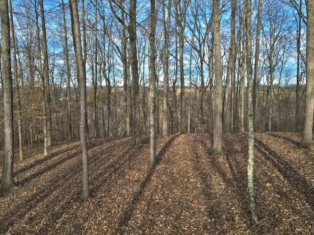 Land for sale in Russell Springs, Kentucky