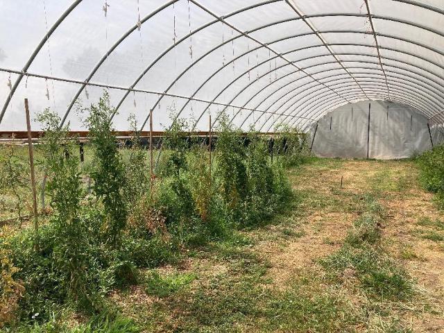 Land for sale in Belen, New Mexico