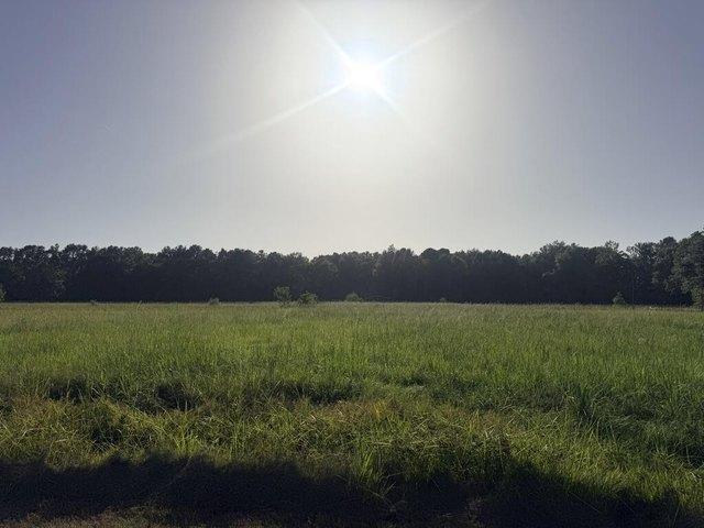 Land for sale in Picayune, Mississippi