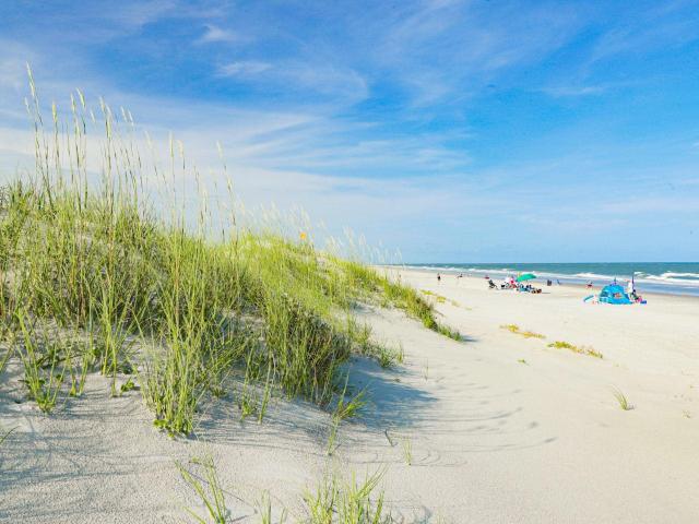 House for sale in Pawleys Island, South Carolina