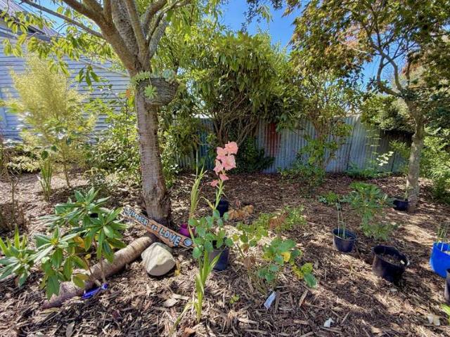 House for sale in Waimate, Canterbury