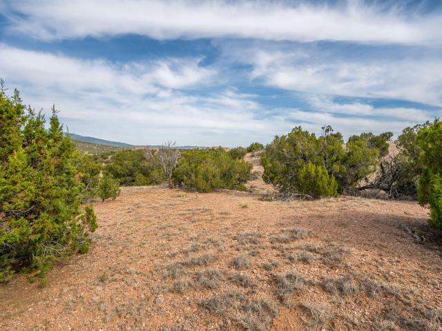 Land for sale in New Mexico