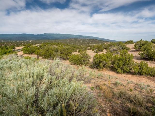 Land for sale in Sandia Park, New Mexico