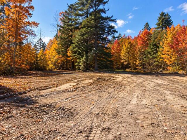 Land for sale in Stark, Coös County